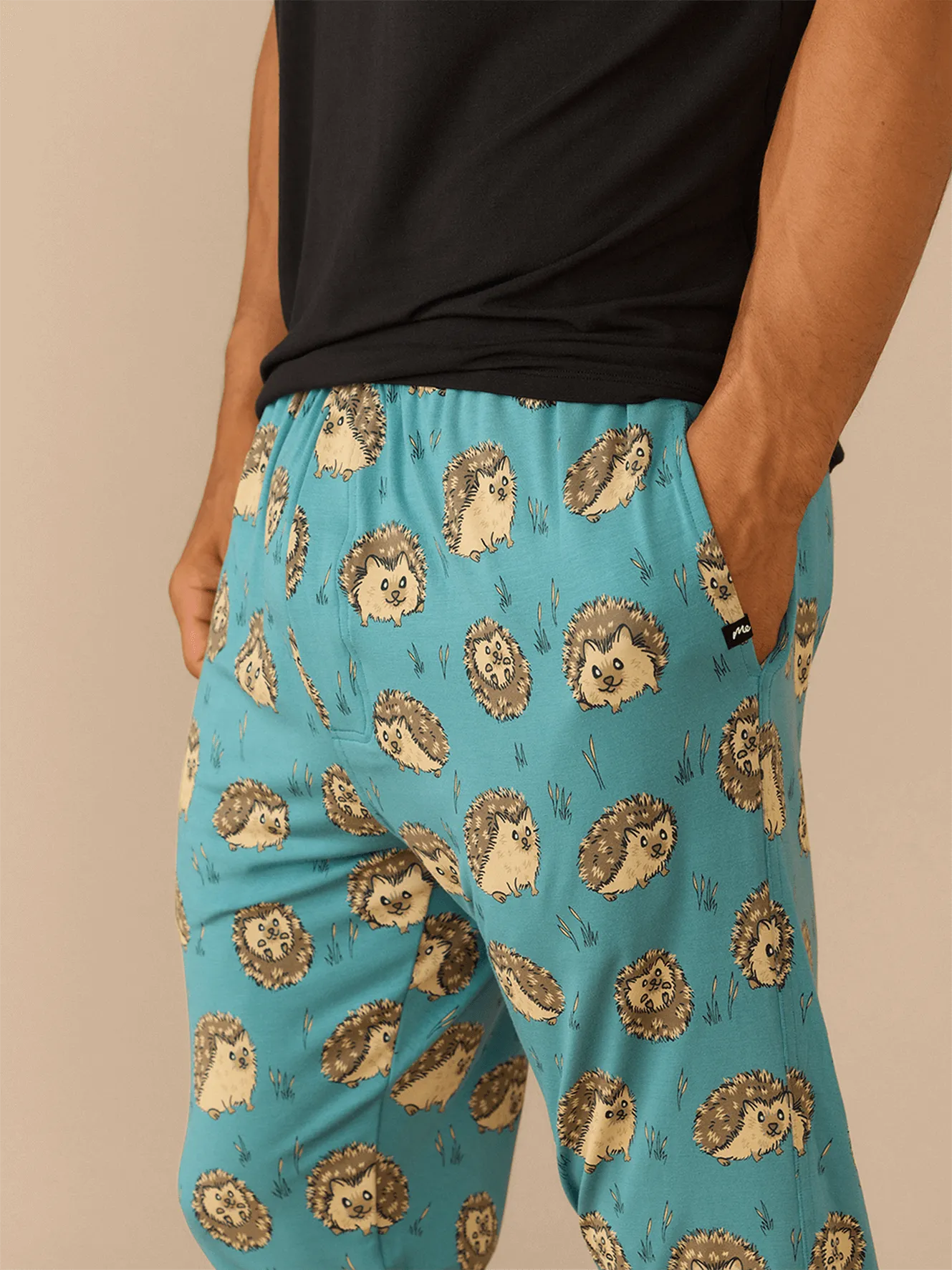 Men's Lounge Pants | Hedgehogs